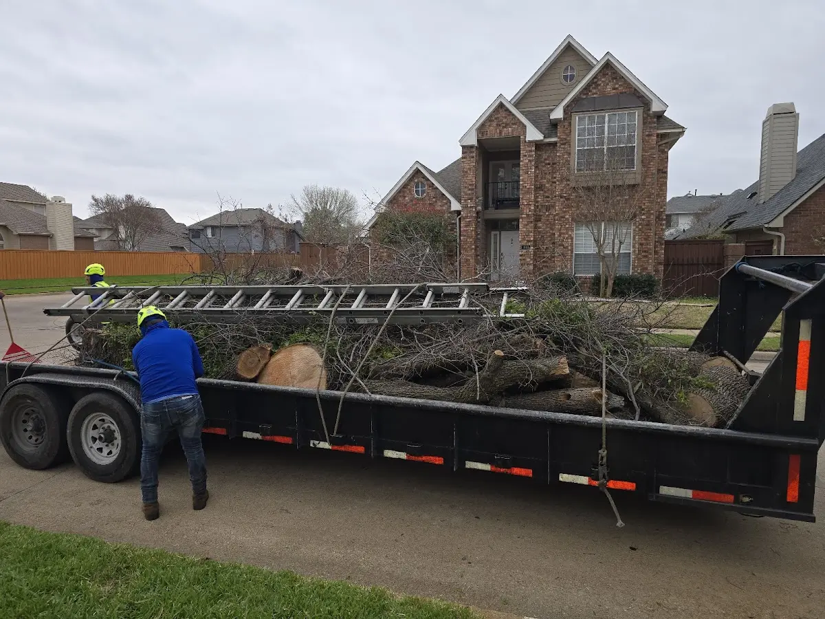 Expert Lot Clearing with proper safety equipment in Foxhome